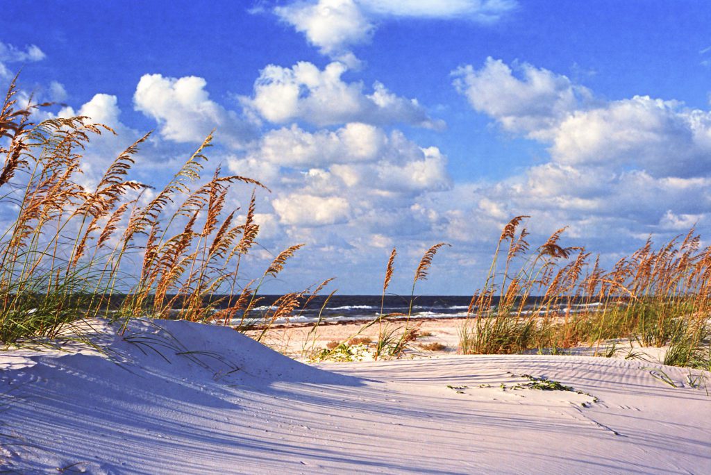 Florida Keys, Curry Hammock State Park soft sand beach with blue sky and fluffy white clouds