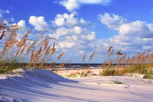 St George Island Florida beach scene with sea oats and puffy whi