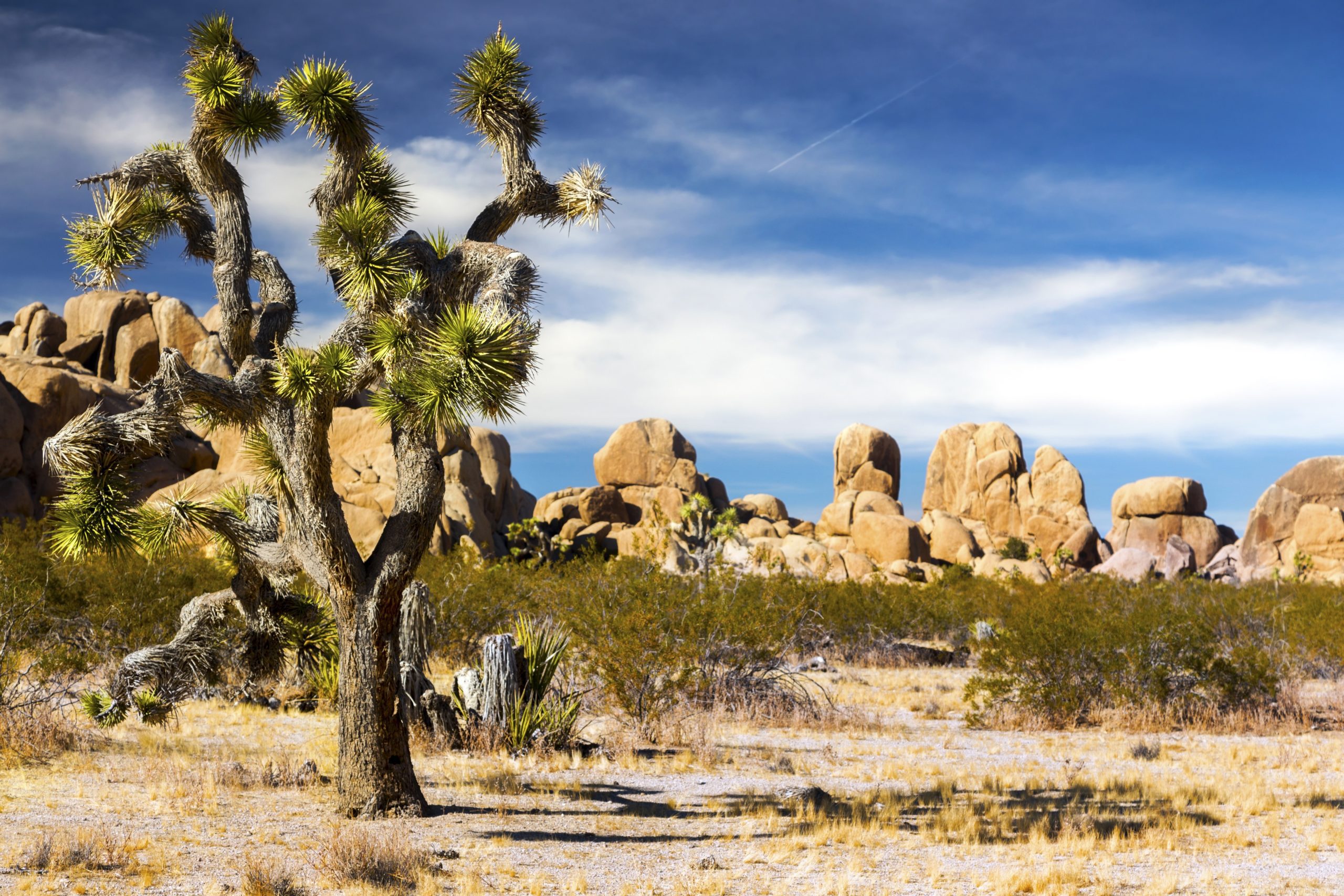 RV Parks in Southern California: The Ultimate Guide