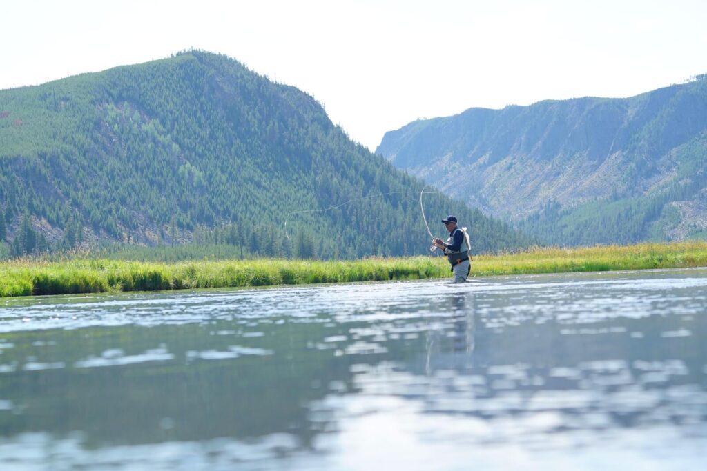 man fishing in Madison River in Yellowstone National Park