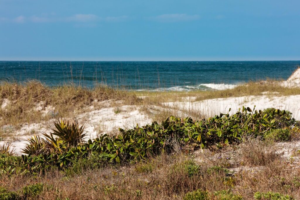 Topsail Hill Preserve State Park. view of Santa Rosa Beach, sand dunes, ocean, vegetation